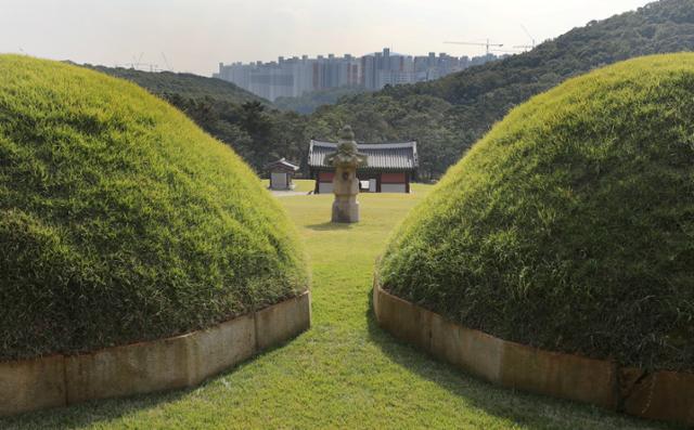 유네스코 세계유산으로 지정된 김포 장릉 뒤에 고층 아파트가 들어서 있다. 뉴시스