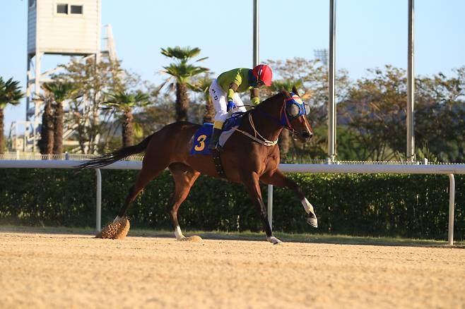 라온핑크와 박태종 기수ⓒ한국마사회 부산경남경마공원