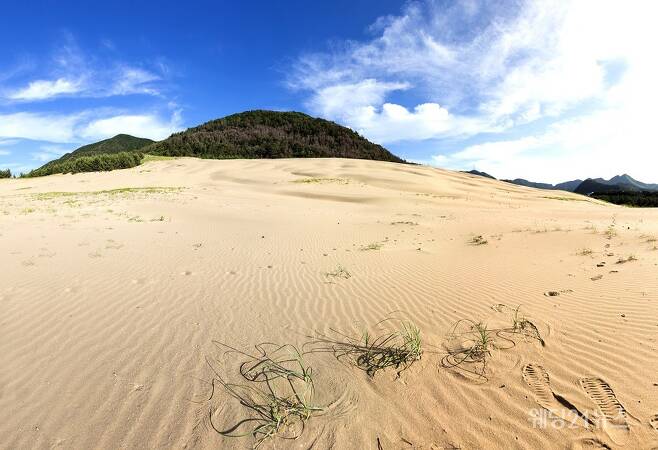 [사진자료 5] 인천 대청도 옥정동 모래언덕
