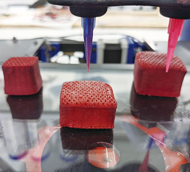 노바미트가 3D프린팅 기술로 대체육을 만드는 모습. /노바미트 제공