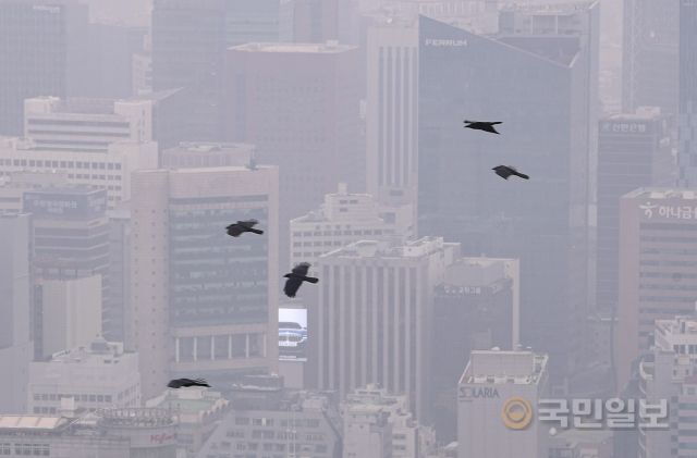 21일 서울 중구 남산에서 까마귀가 미세먼지로 뿌연 상공을 날고 있다.