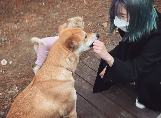 Actor Lee Cho-hee dyed his hair in bright Konyaspor and was pleased to hear the recent developments.In early October, he dyed it with blue light like the sea in the early morning, and this time it is Konyaspor. Lee Cho-hee posted a picture with his dogs on his SNS with Kim Jonny.In the photo, Lee Cho-hee is happy to enjoy camping with three dogs.Lee Cho-hee was very popular with Lee Sang-wa and his couple in the KBS2 weekend drama I went once last year.Since then, he has appeared in the companion animal entertainment Beauty and the Beast for a long time. The daily life of Lee Cho-hee, a temporary caretaker who cares for abandoned dogs hurt by people, has been greatly impressed.Photo Source  Lee Cho-hee SNS