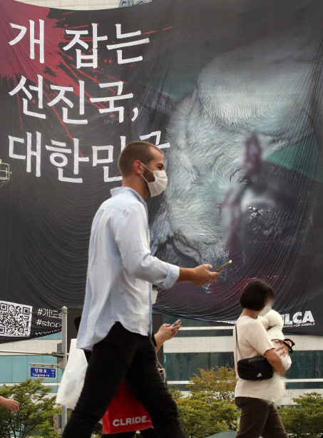 지난달 5일 서울 마포구 동교동 로터리 한 빌딩에 동물보호단체인 ‘동물해방물결’이 내건 개 식용 금지 대형 현수막이 걸려있다. (사진=연합뉴스)