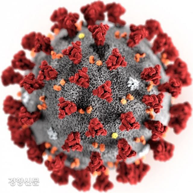 미국 질병통제예방센터(CDC)가 만든 코로나19 바이러스 3D 이미지