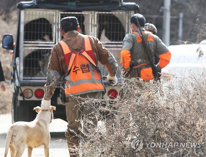 지난 22일 경기 용인의 곰 사육농장에서 반달가슴곰 5마리가 탈출해 지자체와 유해야생동물 피해방지단이 추적하고 있다. [사진 = 연합뉴스]