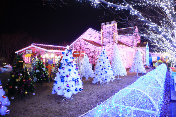 청도 프로방스 마을 크리스마스 빛축제