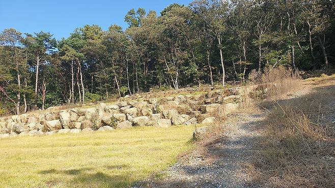 산지 훼손 후 조성한 의정부시 소재 가족묘 적발