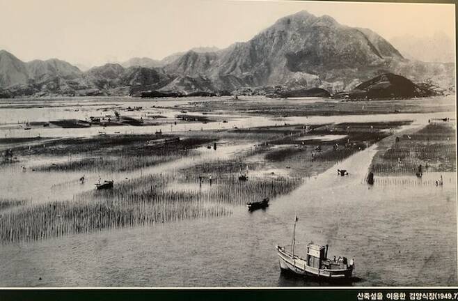 1948년 전남 광양시 태인도 김 양식장 모습.