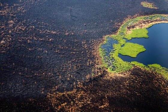 지난 7월27일 시베리아 사하 공화국의 야쿠츠크 서쪽 고르니 울루스 산림이 불탄 모습을 찍은 항공사진. [AFP=연합뉴스]