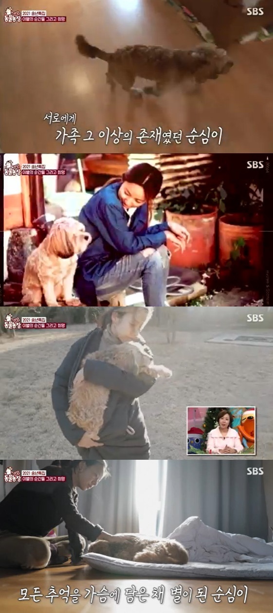 Animal Farm Lee Hyori remembers happy moment as he sends his pet dog Sun Shim-yiSBS Animal Farm, which was broadcast on December 26, was featured in the year-end special feature and introduced moments of heartbreaking farewell.In May, Animal Farm featured singer Lee Hyoris breakup with Sun Shim-yi, whom she adopted from a shelter 11 years ago.Lee Hyori expressed his affection for Sun Shim-yi always has his face in its direction and always looked at me.Lee Hyori became a strong family to the timid and frightened puppy, but the moments of separation came to them as the years passed.Sun Shim-yi dies in the arms of Lee Hyori as if to fall asleepLee Hyori tears up, saying: I dont forget the touch and I just want to pat and hug you.I think we can break up beautifully when we tell them that we are sad enough, mourning enough, and loving enough, recalling the many moments of love we shared.
