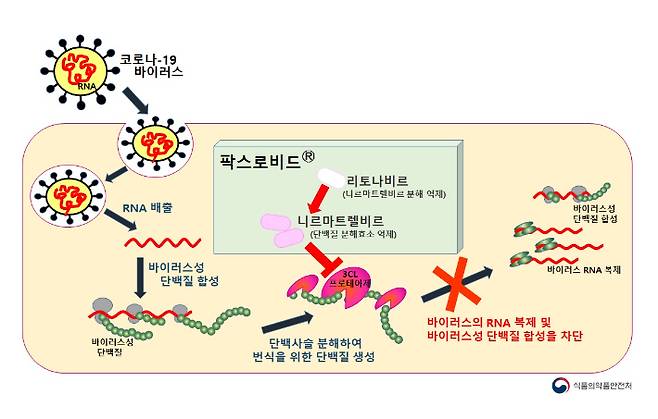 식품의약품안전처 제공