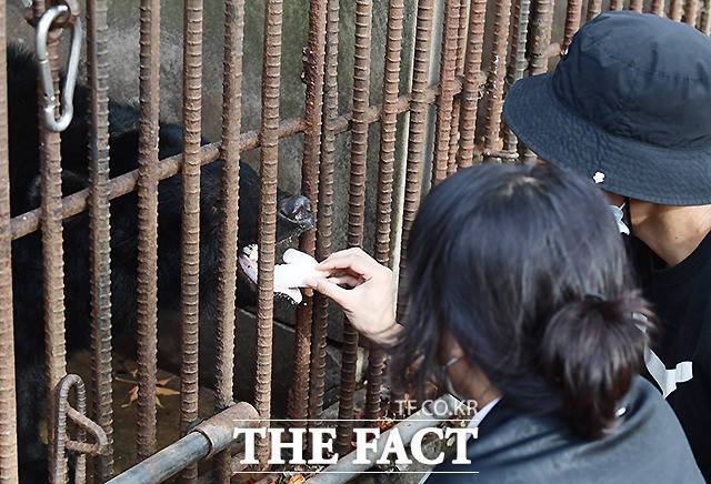 곰들을 구분하기 위해 위층(Upper), 아래층(Lower) 칸 수로 이름을 붙여 부르고 있다. 위층 세번째 칸에 살고 있는 유삼이(U3)가 약이 들어간 메시멜로를 받아 먹고 있다.