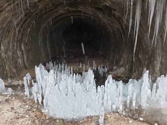 경기도 연천군 경원선 폐터널. 다양한 형태의 역고드름이 땅에서 하늘로 자라고 있다. 전익진 기자