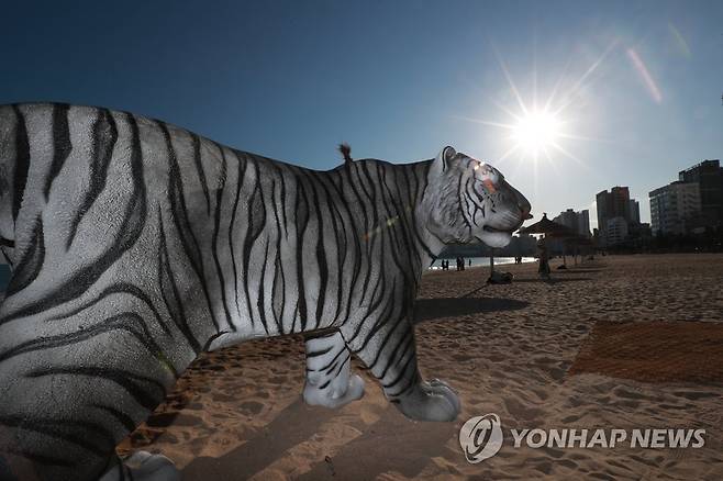 임인년 맞아 광안리 해변에 검은 호랑이 등장 (부산=연합뉴스) 손형주 기자 = 30일 부산 수영구 광안리해수욕장에 임인년을 맞아 검은 호랑이 조형물이 설치돼 있다. 2021.12.30 handbrother@yna.co.kr