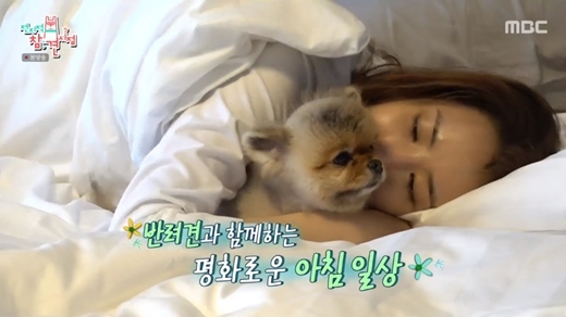 Actor Lee Da-hae has had a morning with his pet dog.In MBC Point of Omniscient Interfere broadcasted on the 8th, Lee Da-hae showed his first reality entertainment and showed his daily life.On the day, Lee Da-hae appeared on a large bed in the sunny late morning, calling his dog Grayton as soon as he opened his eyes.I didnt forget to hold Grayton in my arms.Lee Da-hae, who seemed to be getting up in bed, soon lay down again, calling Grayton, and when Lee Da-hae kissed him, he gave Grayton a butt and expressed his affection.Lee Da-hae responded, Is this how you put your butt? Lets get up. Lets get our baby up. After the bedding, Ill hug you. Ill hold you.My mother will come to wake me up. Later, the luxury of Lee Da-hae, like a hotel, was unveiled, with admiration at the end of the long hallway, a spacious, modern living room, a cosy, sophisticated kitchen, and a hotel suite.Whitetons bathroom, the main dress room with everything neatly arranged, and the sensual design study also boasted a visual that seemed to have ripped out the catalog.Especially eye-catching props and artworks that fill the house have given Lee Da-haes excellent aesthetic sense.
