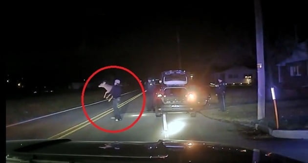 음주운전 의심 차량을 단속하던 미국 경찰이 차량 트렁크에서 살아있는 사슴을 발견해 놀라는 소동이 벌어졌다. /사진=페이스북 영상 캡쳐