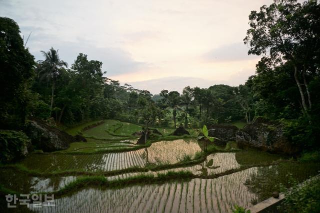 인도네시아 욕야카르타(족자)특별자치주 응랑그란 마을 풍경. 응랑그란=고찬유 특파원