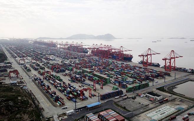 2021년 11월 중국 상하이 양산항에 컨테이너가 늘어서 있는 모습. /신화 연합