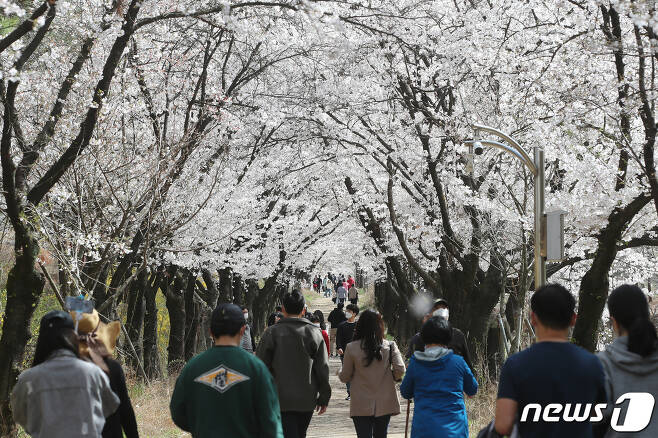지난해 3월 경북의 한 대학 캠퍼스 모습. 2021.3.28/뉴스1 © News1 공정식 기자