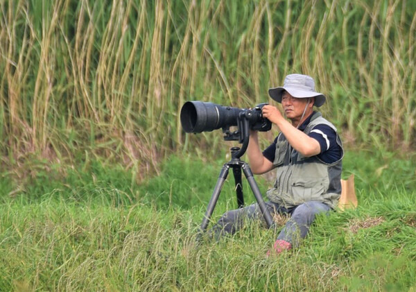 황새 사진을 찍고 있는 김경선 작가. 김경선 작가 제공