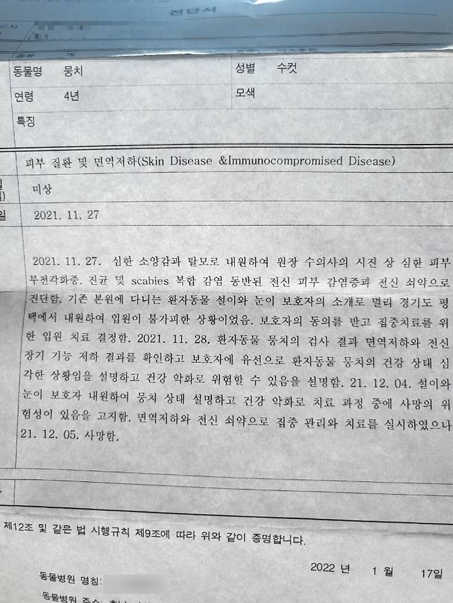 닥스훈트 뭉치의 진단서. 독자 제공