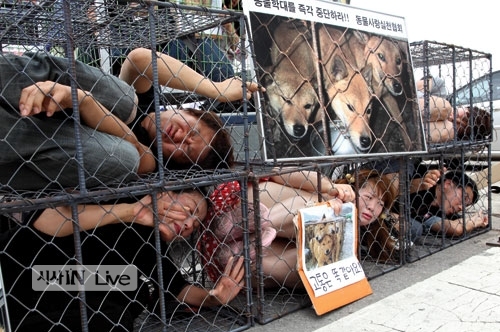 ⓒ시사IN 백승기 초복을 하루 앞둔 7월18일 동물사랑실천협회 등 4개 단체가 성남시 모란시장 앞에서 ‘개식용 악습 철폐를 위한 철창 퍼포먼스’를 벌이고 있다.