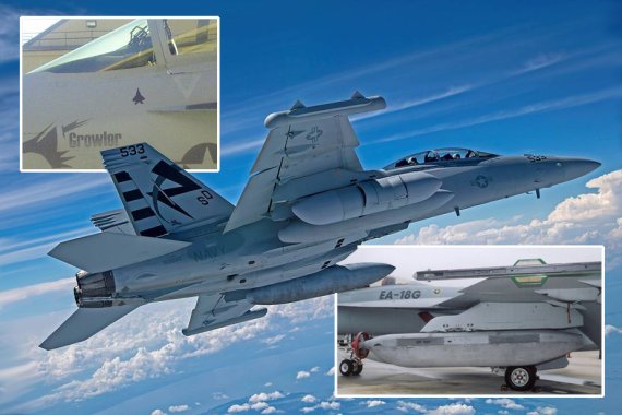 EA-18G 그라울러. 모의 공중전에서 F-22를 요격했고 요격한 EA-18G 그라울러 512호기에 F-22 가상 격추마크(좌상)가 그려졌다. 날개에 탑재된 AN/ALQ-99F(V) 재밍 포드(우하). 그라울러 전자전기는 전자전 능력을 갖춘 AN/APG-79 AESA 레이더를 사용하지만 전자전 체계 핵심은AN/ALQ-99F(V) 재밍 포드다. 이 재밍 포드는 EA-18G 그라울러의 주익 아래 좌우에 3개씩의 하드 포인트 중에서 아웃보드 스테이션을 제외한 4개의 하드 포인트와 동체 아래 센터 스테이션을 포함해 최대 5개의 AN/ALQ-99F(V) 재밍 포드를 탑재할 수 있다. 미 해군은 2009년까지 총 85대 도입을 결정한 후 2014년 12대 추가를 마지막으로 135대의 EA-18G 그라울러 전자 공격기를 도입했다. 스트라이크 패키지 즉 다수의 전투기로 편성된 공격편대군의 생존에 필수적인 항공기로 보통 2대의 EA-18G 전자전기가 동원된다. 사진=미 해군·내셔널 인터레스트(national interest)