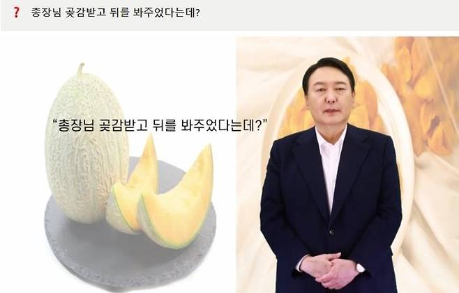 윤석열 공약 위키 홈페이지 동영상 캡처