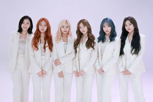 티브이데일리 포토