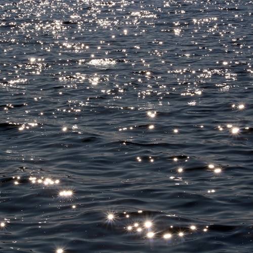 초이 사진=JMG(로칼하이레코즈)