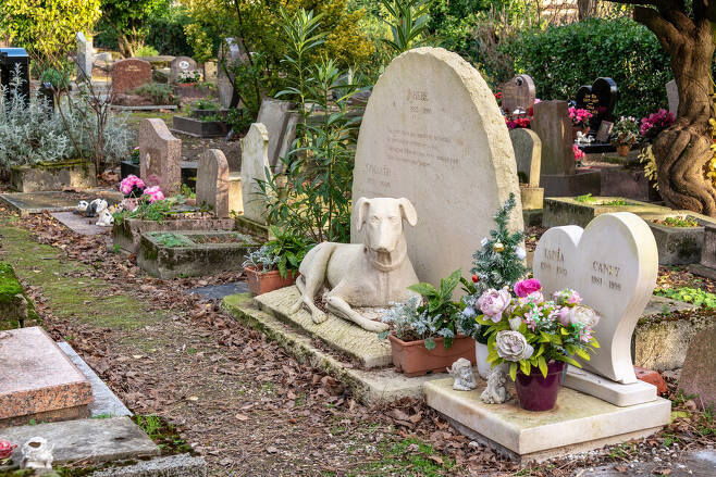 프랑스 파리의 반려동물 공동묘지. 프랑스 일드프랑스 아니에르쉬르센의 이 묘지는 세계에서 가장 오래된 반려동물 묘지다. 게티이미지뱅크