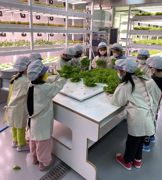 어린이들이 물누리팜에서 채소 재배 과정을 체험하고 있다. /사진=군포시
