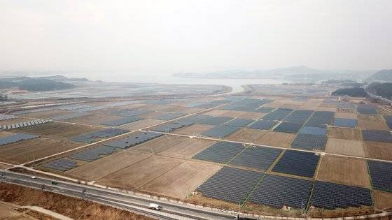 전남 영암 학산면 일대 농지의 상당수가 태양광 패널로 뒤덮여 있다. 강대석 PD