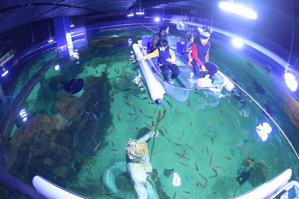 아쿠아리움 메인수조 위에서 투명탐험 보트를 즐기고 있는 가족 모습.