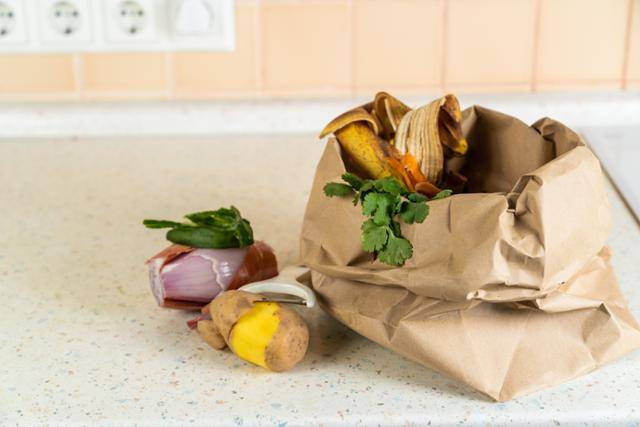 게티이미지뱅크