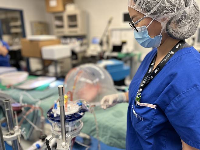 캐나다 토론토 의대 병원의 아이주 왕 박사가 허파에 혈액형 전환을 위한 효소를 주입하고 있다./캐나다 토론토 의대