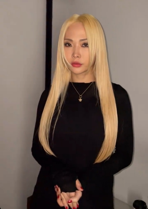 Dancer honey Jay (real name Jeong Ha-nui and 36) showed off her gorgeous beauty.On Thursday, honey Jay posted two photos on his personal SNS, saying, Blonde in six years. He also posted the video through the story.The new hairstyle, dyed with blonde hair, draws attention. Honey Jay also revealed her charisma, perfecting her bright hair.My hair is incredibly soft silky hair that causes admiration.Impressive look and imposing pose.In the extraordinary hair transformation, the netizens responded such as It is so beautiful, There is no color that does not fit, It looks really good and blonde Jessie J.Honey Jay is appearing on JTBCs new entertainment program Sisters Run - Witch Athletic Basketball, which was first broadcast on the 15th.Cable channel Mnet Street Woman The Fighter, Street Dance Girls The Fighter and tvN I do not hurt X Swoopa have been active in various entertainments.