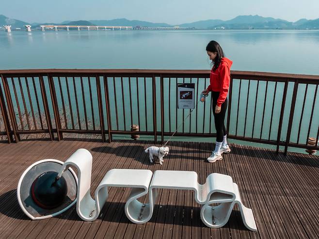 평택호 수변데크 사색의 길. 반려견도 뭔가 사색에 잠긴 듯 하다.