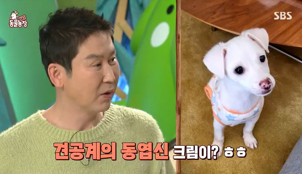 Animal Farm MC Shin Dong-yup adopted an organic dog after 21 years of broadcasting.On SBS Animal Farm broadcast on February 27, Shin Dong-yup said, I did not adopt a dog while I was running Animal Farm for a long time.It was because of the idea that one life was responsible. I finally adopted a dog, he said.Cream, who is three months old, is one of four babies born to a mother who was on the verge of euthanasia.Shin Dong-yup said, My son and daughter had been asking me to raise them for a long time. (Cream came into the shelter with her mother pregnant and was in danger of euthanasia, but a personal rescuer brought her in and gave birth to four young, one of them.I dont know how happy I am, she explained the opportunity for adoption.Jung Sun-hee said, When our MCs talked about dogs, Shin Dong-yup just listened, but Cream talked for 20 minutes today.Did you think you should bring him right away? asked Joy, and Shin Dong-yup said, I saw it in the photo, and as soon as I saw it, Feelings came.Feelings are coming, recalled the fateful first meeting, which Joy said, I think it looks a bit like you and Cream.I was surprised to see it as soon as I saw it. On the other hand, Shin Dong-yup met with viewers on the main MC every time since Animal Farm was first broadcast on May 1, 2001.