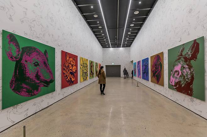 2월23일 서울 종로구 삼청로 30 국립현대미술관 서 울관에서 세계적인 미술가이자 영화감독, 건축가, 행 동가인 아이 웨이웨이의 개인전 《아이 웨이웨이: 인 간미래》가 열리고 있다. 《아이 웨이웨이: 인간미래》는 표현의 자유와 난민의 삶을 주제로 다양한 작품을 발 표해온 아이 웨이웨이(Ai Weiwei, 1957~)의 국내 미술관 첫 개인전이다.ⓒ시사저널 최준필