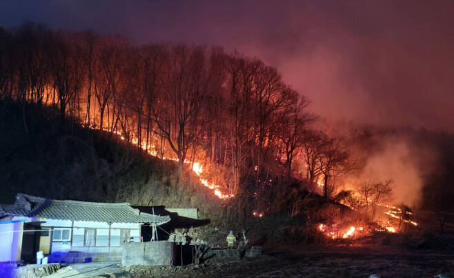 지난 5일 새벽 강원 강릉시 옥계면 일대 산림이 불에 타고 있다. 강원소방본부 제공