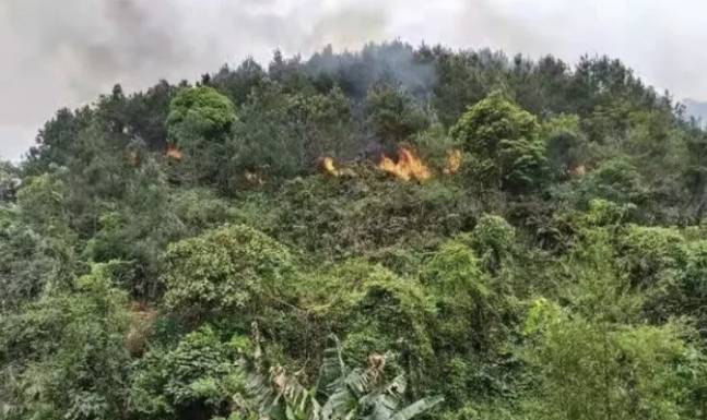 중국 현지시간으로 21일 오후 1시15분(현지시간) 남부 윈난성 쿤밍을 출발해 광둥성 광저우로 향하던 중국 동방항공 소속 MU5735 여객기가 광시좡족자치구 우저우 텅현 인근 산악 지역에 추락했다.