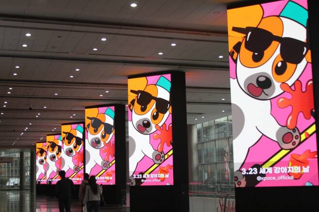 빛글림에서 최근 '세계 강아지의 날'을 기념해 제작한 씽씽이를 타는 강아지 영상 콘텐츠가 코엑스에서 전시되고 있다/사진제공=빛글림