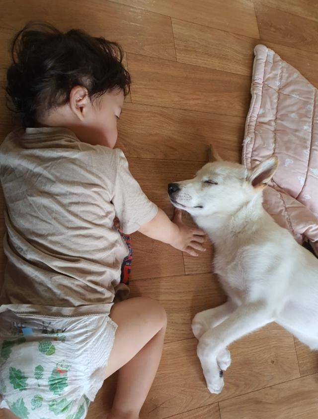 머루를 임시 보호할 당시의 모습. 머루는 아이들과도 잘 지냈다. 배지수씨 제공