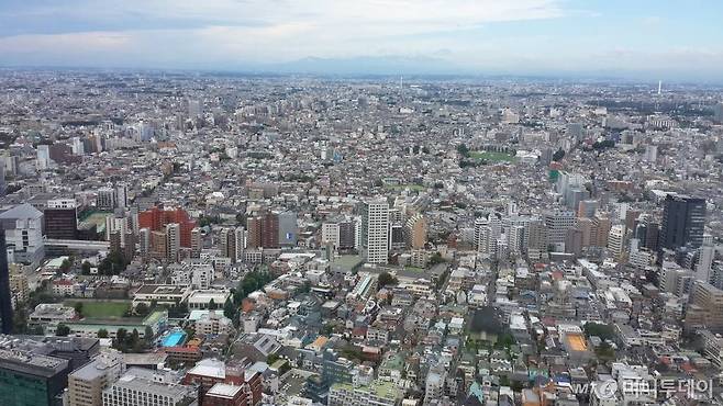 일본 도쿄 도청사 전망대에서 후지산이 보이는 도심 전경 /사진=김유경