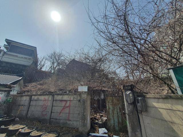 아홉 마리 믹스견 가족이 살던 철거 지역 빈집. 동물자유연대는 이곳에서 아홉 마리를 구조해 새 가족을 찾아주고 있다. 동물자유연대 제공