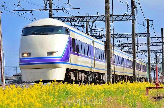 도부철도의 닛코 스페이시어호