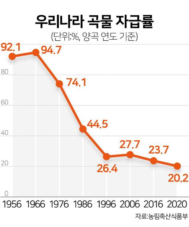 우리나라 곡물 자급률