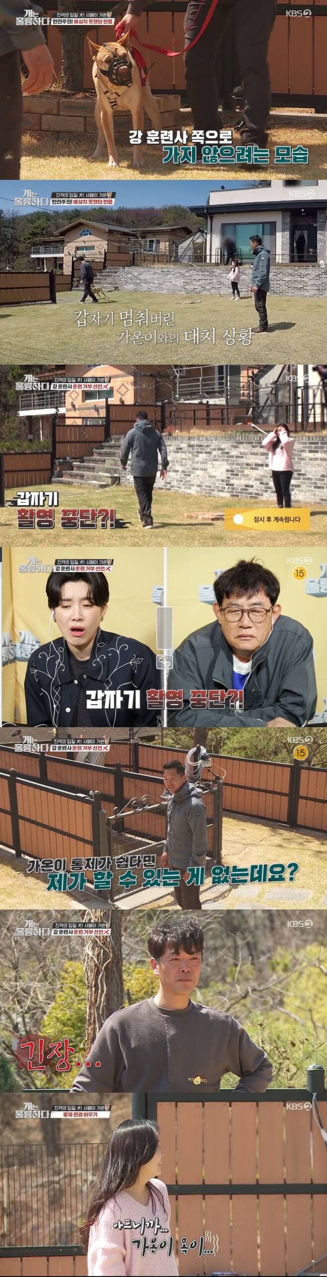 On KBS2s Dogs Are Incredible, which aired on the night of the 25th, the story of Shafei Supriya Pilgaonkar, an aggressive dog with strong barking and mouthing, was revealed.Kang Hyeong-wook explained, Shafei is more independent than other dogs, so there are many friends who act sensitively when Guardian tries to do what other dogs do not want.The Guardians said they lived in an apartment and moved to a power house for Supriya Pilgaonkar.Kang Hyeong-wook praised it as a really good job. Mom Guardian said, I quit the company.I wanted to take a walk because Supriya Pilgaonkar is at home alone every day, he said. I can do it for Supriya Pilgaonkar.Supriya Pilgaonkar seemed to have no big problem growing up with the great love of Guardians like this.However, as the neighbors and dogs passed through the wall, they could not stop the fierce barking with excitement.Supriya Pilgaonkar ran and barked until she was not seen in her own view, whether it was a person or a puppy.Neighbors said aggressive Supriya Pilgaonkar was nervous about the action and the neighborhood was loud.There was another problem for Supriya Pilgaonkar.Supriya Pilgaonkar showed extreme aggression to bite suddenly without stopping barking when the crew visited the filming car.My mother Guardian also said, My dad has seen it a few times, so I reached out and just asked, and then my father has been taking tranquilizers sometimes.The Guardians were sweating and sweating because they were running toward passersby even when Supriya Pilgaonkar took a walk.When I go out for a walk, I only go on a path without people, said my mother Guardian.Ive also sent a few training camps, but I asked another dog, and since then I dont let another dog meet at all, her husband Guardian said.The Guardians said, Let them all go. Why do you raise such a dog? Euthanasia. I do not think I should raise it.I heard a few times that I should deal with it before I get rid of others. His wife, Guardian, said, After being bitten at the end, I told my husband that I could not do it anymore. But after a day, I seemed crazy.I still have more to do, so I applied here. Sometimes Im afraid that I can not touch my hands, but I still want to live with you.Lee Kyong-kyu and Jang Doyeon visited the Supriya Pilgaonkars house and barked strongly as soon as they rang the doorbell.Wife Guardian warned the pair: Be careful with your hands and never touch them, the pair approached slowly, covering their hands as much as possible.I jump and I climb people and bite them, Ive been bitten by my arm, her husband Guardian said.Supriya Pilgaonkar briefly rushed to Lee Kyung-kyu while the Guardian loosely held the line to tie it.Lee Kyoung-kyu and Jang Doyeon avoided back in surpriseKang Hyeong-wook saw Supriya Pilgaonkar, who kept barking away from the Guardian, and decided, He does not want to protect the Guardian or bark with the courage of the Guardian.Supriya Pilgaonkar kept barking at the two even after the Guardian was gone, barking even worse without eating the snacks Lee Kyong-kyu had thrown at.It was similar to the Doberman Bianca (appearing 85 times), which I had previously met, Lee Kyung-kyu said.There is no downfall without a master, I am excited without notice, I never look at it and look at it all the way.Kang Hyeong-wook pointed out, It is also a problem that those Guardians do not know how to control dogs.Kang Hyeong-wook pointed out why he uses a chest line instead of a neckline, saying, The chest line is easy for dogs and it will not be easy to control.The Guardians said, Nowadays, it is okay with the breastline. Then Kang Hyung-wook said, Well, thank you, I am so much.Kang Hyeong-wook said, If control is easy, there is nothing I can do. Kang was angry at the Guardians who knew there was a problem but only excused them.You met Supriya Pilgaonkar because it was hard to raise. You considered euthanasia. Then it is an individual who can not control himself.You dont know when youre going to turn around. Youre already bitten a lot.It is safe to use a neckline or a tool to make sure that you have more control in situations where you have to be careful, he said.He said he needed to advise replacing control tools and improve the Guardians attitudes, as his wife, Guardian, who brought him a leash, said: To fill the semi-choke chain?I laughed as if it were ridiculous.The river trainer said, I did not want to fill (the anti-choke chain) with Wenman.How sick were the physical people, Supriya Pilgaonkar pointed out to the Guardian, because my neck hurts.I did not do much I do not want to do, so I do not have sociality. In order to raise sociality, I have to control my tears firmly in my heart, he said.Kang Hyeong-wook advised, If you want to be pretty, you have to control it. If you can not control it, you can not be pretty.Subsequently, training for taking the initiative with Supriya Pilgaonkar was started.The river trainer said, Now he seems to be everyday to listen to the Guardian instructions, and the Guardian admitted, It was like listening once in 10.The river trainer said that if he wanted to take the lead in the walk, he had to bring it by force when he did not listen, and his mother Guardian grabbed his heart and dragged Supriya Pilgaonkar.I did not bring the Guardian to go here, but I will feel guilty. The guilt must be overcome by the Guardian.I cant help you, he said.Supriya Pilgaonkar kept trying to go in a direction other than the direction the owner was going.However, after several repeated training sessions, Supriya Pilgaonkar succeeded in taking a walk under the leadership of the Guardian.The instructor advised me to praise him with words instead of praise for his skinship.Second, we started aggressive control training.Lee Kyoung-kyu and Jang Doyeon appeared as outsiders, and Supriya Pilgaonkar showed aggression immediately after encountering the two.But after the control training, he succeeded in walking safely with Supriya Pilgaonkar in front of the outsider.Next, with Helperdog, aggressive control training was followed.Supriya Pilgaonkar struggled with a distressing screech as she went out on the road, and the Guardians were sorry.The river trainer said: Supriya Pilgaonkar will be Choices, pain when strangled, and a desire to run into that dog. Of two, Choices.If you can not breathe and you want to hurt, you will not stop, and if you want to breathe, you will not run. Superiya Pilgaonkar was strongly repulsed by the river trainer, and the river trainer was tense, pulling the strings strongly.Eventually, Supriya Pilgaonkar followed the control of the river trainer.Kang Hyeong-wook took Supriya Pilgaonkar and passed the helper dog, and Supriya Pilgaonkar passed slowly through Helperdog.Superiya Pilgaonkar praised Choices for being controlled over bites; Kang Hyeong-wook praised that Choices are right; they did well.However, Supriya Pilgaonkar has been repulsing in training with Helperdog, and Kang Hyeong-wook controls Supriya Pilgaonkar and says, It is simple.If you jump, you have a price. If you want to bite him, you can bite him. Understand. If you dont understand, every day will be the same day. Kang Hyeong-wook told the Guardian, Looks at Supriya Pilgaonkar is a real strong dog, and when you run, you bite your chest, not your feet.The frightened children bite under; Superiya Pilgaonkar is never a weak dog, so Guardian should be more strong, he advised.Kang Hyeong-wook saw the possibility of Supriya Pilgaonkar after repeated training and praised both Supriya Pilgaonkar and Guardian, saying, It seems to be.Even in the video of the Guardians, Superiya Pilgaonkar was seen walking steadily without barking under Guardian control.