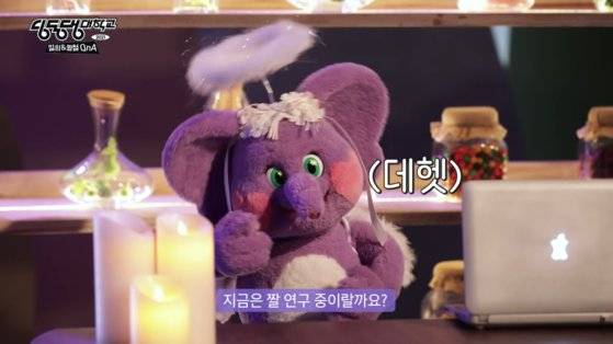 시즌 1은 '짤'의 이면을 파악해 메시지를 전하는 교양 프로그램 콘셉트로 기획됐다. ⓒ딩동댕대학교